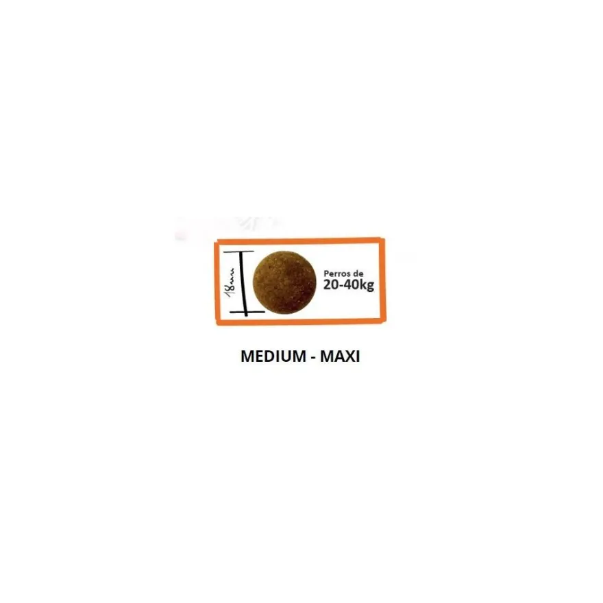 Lenda Urban Perro Marine 15Kg
