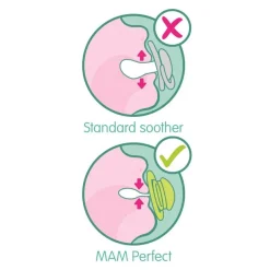 MAM Chupete Perfect Silicona +6M (Gatito y Flor Morada)