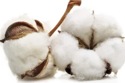 Masmi Discos Desmaquillar Masmi Natural Cotton 80 unidades