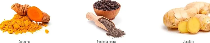 Novadiet Curcurina 30 Cápsulas
