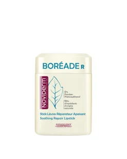 NOVIDERM Boréade R Stick Reparador 9.2G