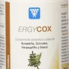 Nutergia Ergycox 90 Comprimidos