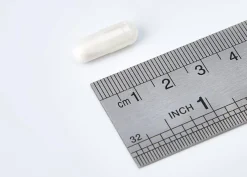Nutergia Ergyphilus Plus 60 Cápsulas