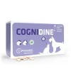 Pharmadiet Cognidine Suplemento Nutricional 60 comprimidos