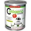 Pinisan Colágeno Hidrolizado 300 g