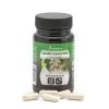 Plameca Capsudiet Castaño de Indias 40 cápsulas vegetales