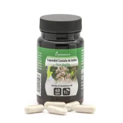 Plameca Capsudiet Castaño de Indias 40 cápsulas vegetales