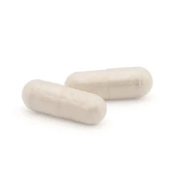 Plameca Capsudiet Castaño de Indias 40 cápsulas vegetales