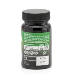 Plameca Capsudiet Ginkgo Biloba 40 cápsulas vegetales