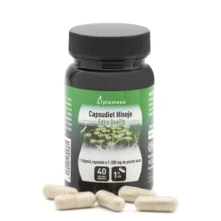 Plameca Capsudiet Hinojo 40 cápsulas vegetales