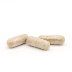 Plameca Capsudiet Pasiflora 40 cápsulas vegetales