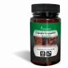 Plameca Curarti Capsudiet Harpagofito 40 cápsulas