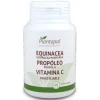 Plantapol Equinácea + Propóleo + Vitamina C 60 Comprimidos