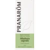 Pranarom Aceite Esencial Albahaca Sagrada 5 ml