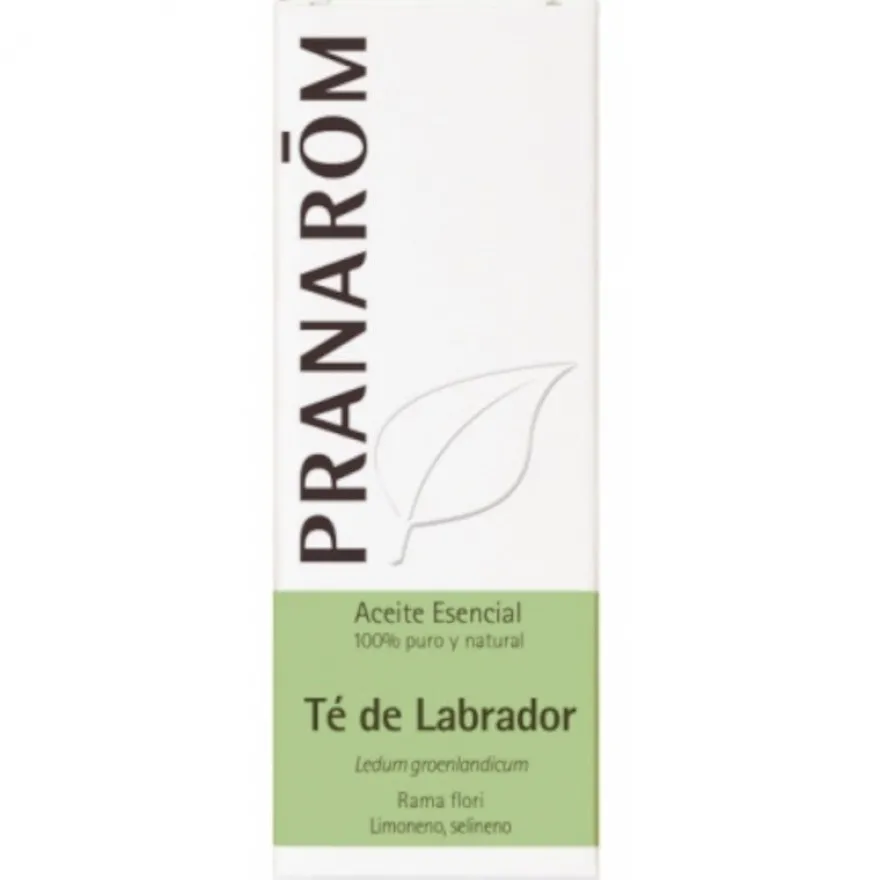 Pranarom Aceite Esencial Té de Labrador 5 ml