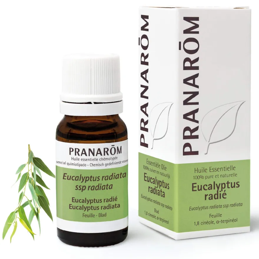 Pranarom Eucalipto Radiata Hoja 10 ml