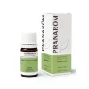Pranarom Incienso Oleoresina Bio 5 ml