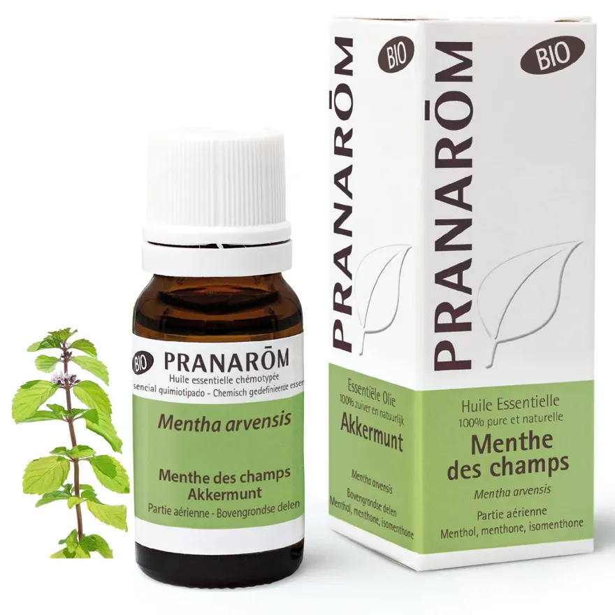 Pranarom Menta De Campo Partes Aéreas Bio 10 ml