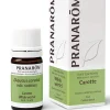 Pranarom Zanahoria Fruto 5 ml