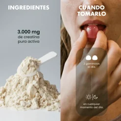 Premium Gummies Performance Creatine Suplemento Creatina 3.500 mg 60 Gominolas