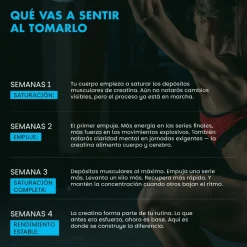 Premium Gummies Performance Creatine Suplemento Creatina 3.500 mg 60 Gominolas