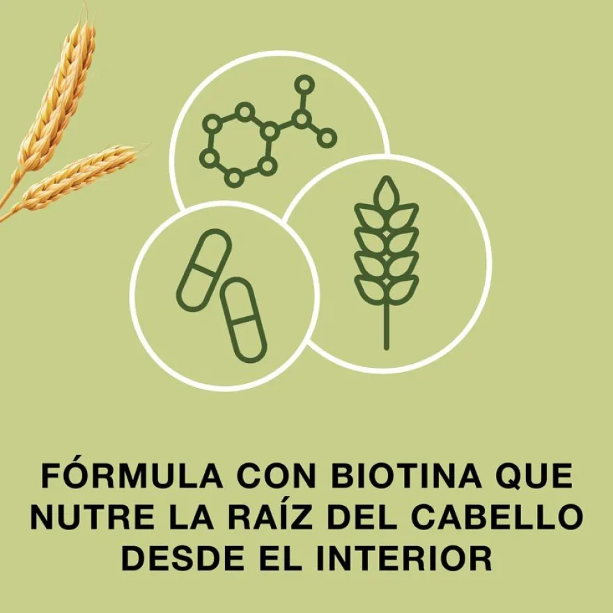 PRIORIN Cuádruplo 4x60, 240 cápsulas