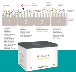 Prisma Premiun Glutamina + Probióticos 30 Stick