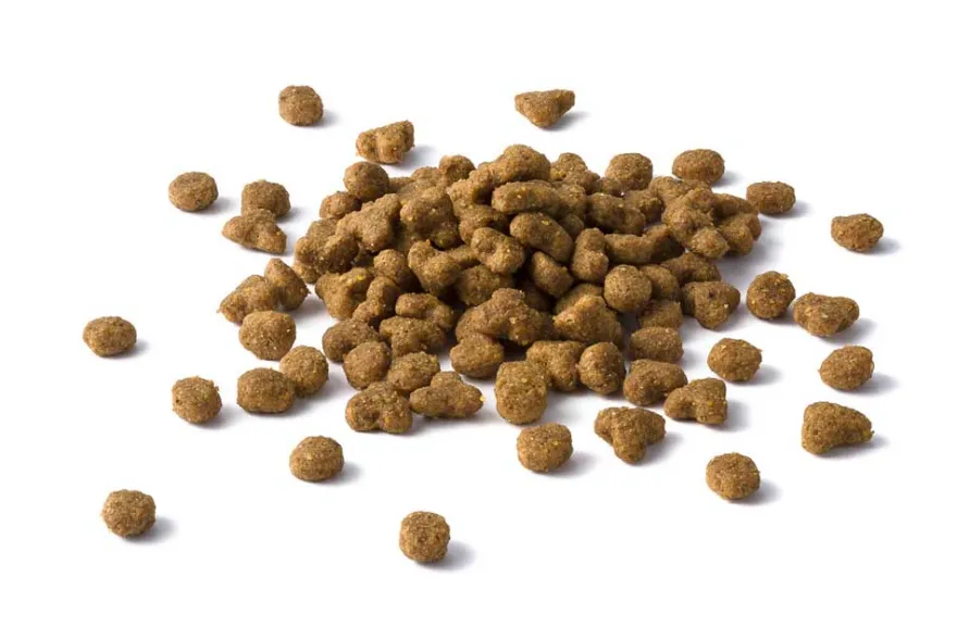 Purina Cat Chow Adult Pollo 15kg