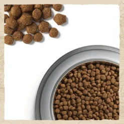 Purina Dog Chow Puppy Large Breed Pavo 14kg