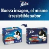 Purina Felix Fantastic Junior 12x(4x85g)