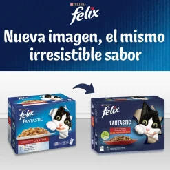 Purina Felix Fantastic Junior 12x(4x85g)
