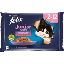 Purina Felix Fantastic Junior 12x(4x85g)