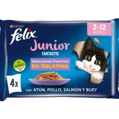 Purina Felix Fantastic Junior 12x(4x85g)