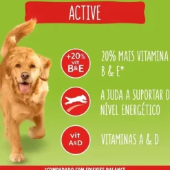 Purina Friskies Dog Active Buey 18kg