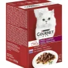 Purina Gourmet Mon Petit Alimento Húmedo 300g