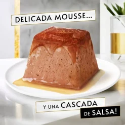 Purina Gourmet Revelations Mousse Salmon 6x(4x57g)