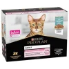 Purina Pro Plan Delicate Alimento Sólido 850g