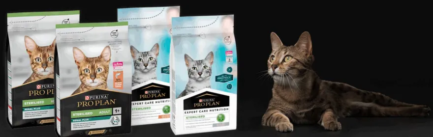 Purina Pro Plan Expert Cat Esterilizado Pavo 3kg