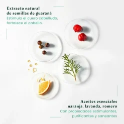 RENE FURTERER Forticea Champú Energizante 200ml