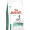 Royal Canin Diabetic Comida seca 7Kg