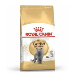 Royal Canin Feline Adult British Shorthair Pienso Seco 10kg