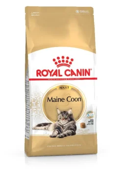 Royal Canin Feline Adult Maine Coon Alimento Seco 10kg