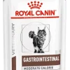 Royal Canin Gastrointestinal Moderado Húmedo 12 x 85g