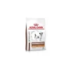 Royal Canin Gastrointestinal Low Fat Small Pienso para Perros 8kg
