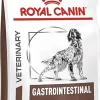 Royal Canin Gastro Intestinal GI 25 Piensos Secos 15Kg