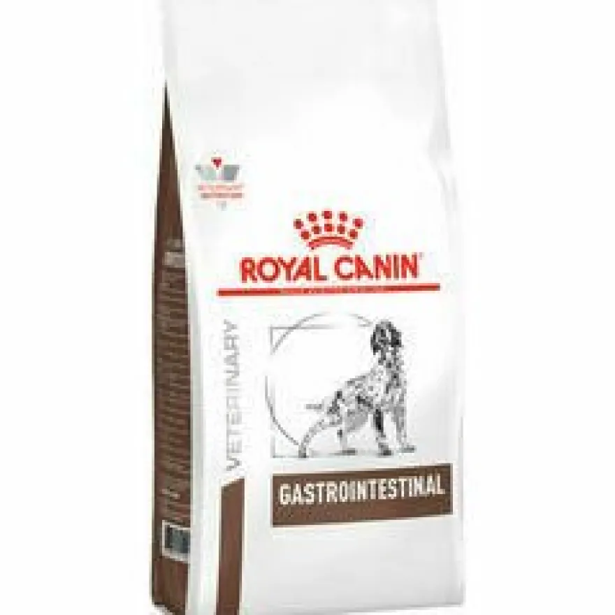 Royal Canin Gastro Intestinal GI 25 Piensos Secos 15Kg