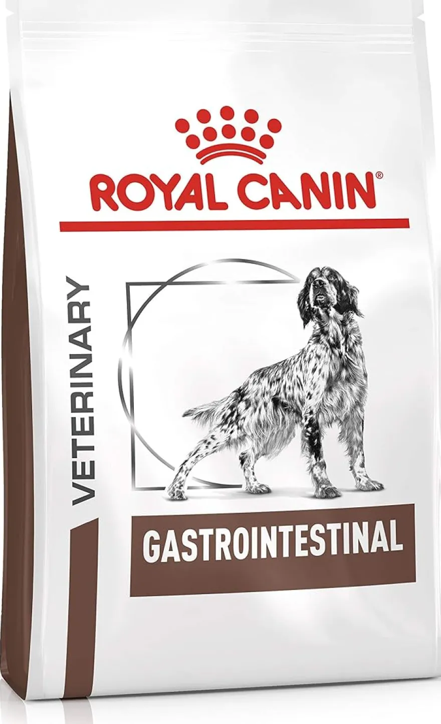 Royal Canin Gastro Intestinal GI 25 Piensos Secos 15Kg