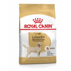 Royal Canin Labrador Retriever Comida Seca 12Kg