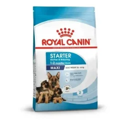 Royal Canin Maxi Starter Alimento para Cachorros 15Kg