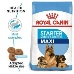 Royal Canin Maxi Starter Alimento para Cachorros 15Kg